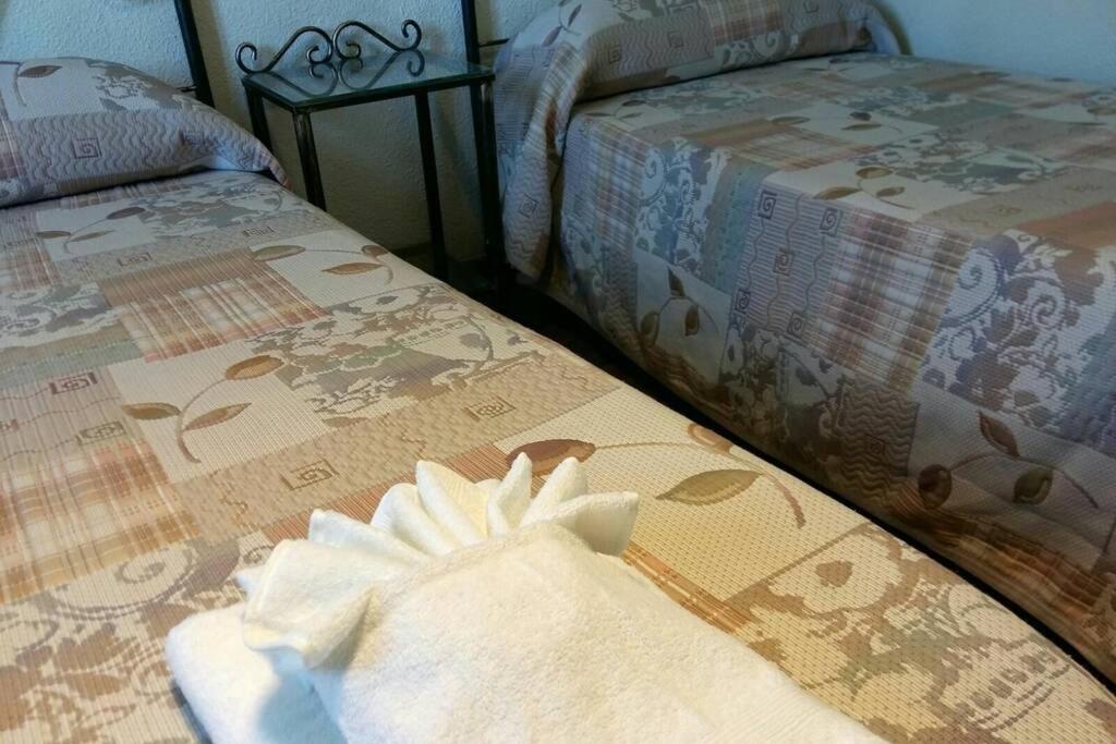 דירות קורדובה Apartamento Al-Zhara, Junto Puente Romano מראה חיצוני תמונה